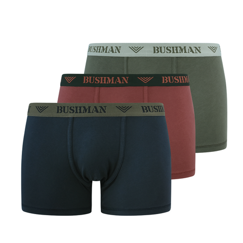 Edward Shorts 3 Pack