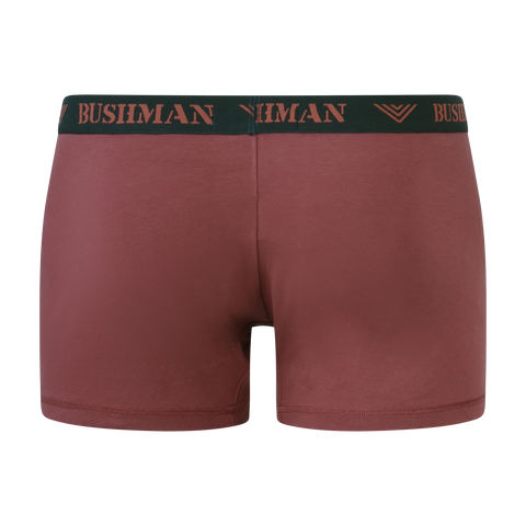 Edward Shorts 3 Pack